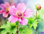 哪些花是种子种出来的