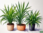 2025年吸甲醛哪种植物好