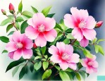 家里适合养开花的花吗