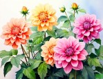 家里养什么花卉风水好