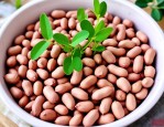 2025年花生种子怎样催芽