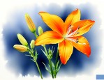 一朵桔梗花 epub