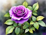 2025年紫色月季花的花语