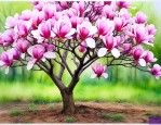 10公分紫玉兰树价格