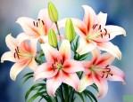 百合花代表什么意思呢