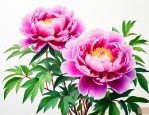 牡丹花什么颜色的最好