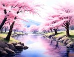 樱花出水霜在日本价格
