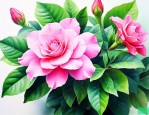 怎样养栀子花才长得好