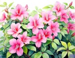 什么攀爬植物四季开花