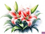 百合花闻多了会中毒吗