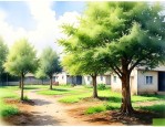 家里小院子种什么树好