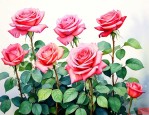院子里种月季花吉利吗