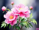 粉红色花代表什么意思