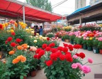乌鲁木齐假花批发市场