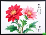 12月20日的生辰花