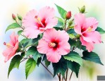 芙蓉花适合在家里养吗
