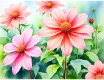 适合夏天种的花有什么