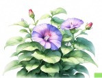 植物朋友牵牛花的作文300个字三年级
