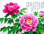 牡丹花写作文150字