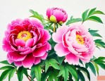 牡丹花养家里风水好吗
