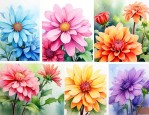春夏秋冬的花各是什么颜色