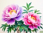 牡丹花是什么什么颜色