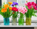 花卉水培营养液怎么用