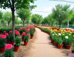 北京花卉绿植批发基地