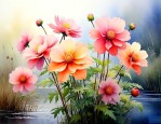 什么花的花语寓意美好