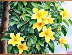 海南黄花梨北方能种吗