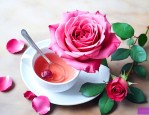 吃药能喝玫瑰花泡水吗