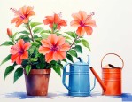 水塔花浇水的正确方法