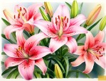 百合花籽怎么种植方法