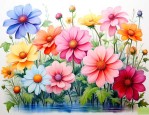 全世界的花的颜色和花
