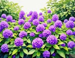 2025年水里开紫花的绿植