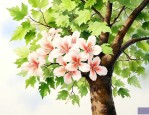 梧桐树花是什么样子的
