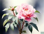 世界上最高贵冷艳的花