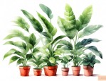大全家庭植物