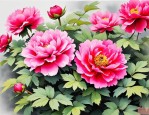 2025年菏泽的市花是什么
