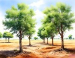 盐碱地适合栽植的树种