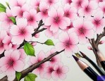 樱花勾线笔多少钱一支