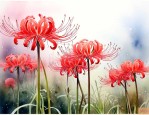 跟彼岸花很像的花有哪些