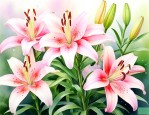 百合花适合北方种植吗