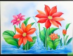 一帆风顺的花怎么浇水