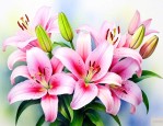 百合花可以用什么代替