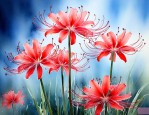 彼岸花有什么象征意义