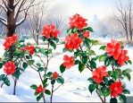 山东冬天适合养什么花