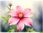 勿忘我这朵花长什么样