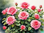 2025年种植月季花的方法