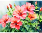 哪些花适合在室外暴晒